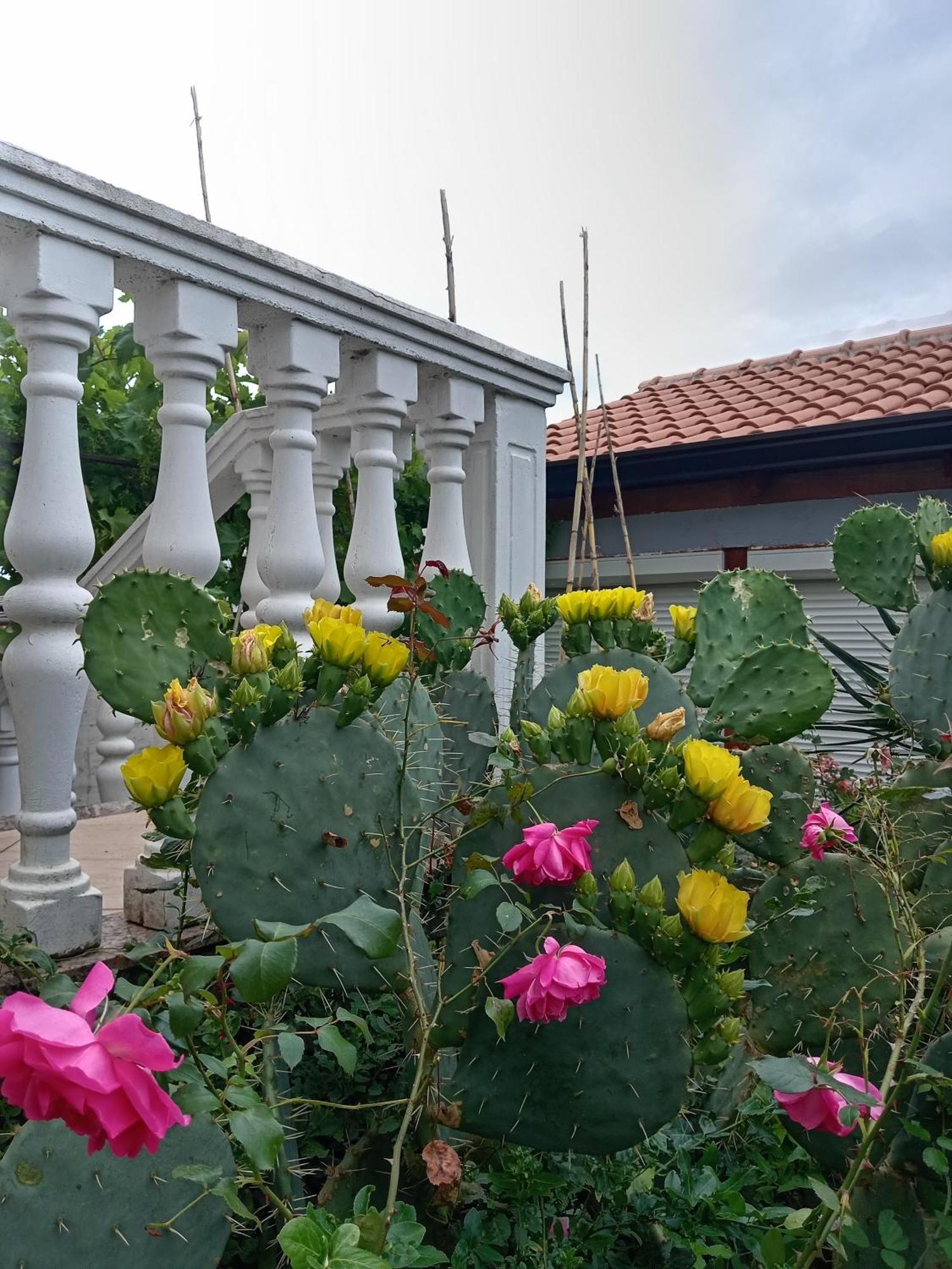 Lili Apartment Umag Luaran gambar